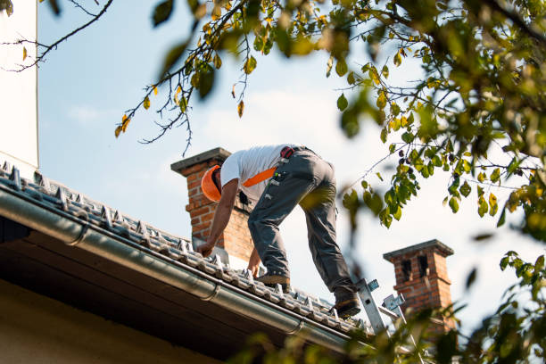 Professional Roofing Contractor in Chauvin, LA