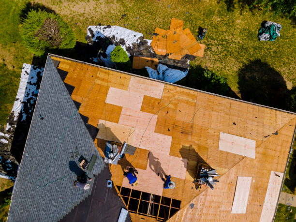 Best Shingle Roofing Installation  in Chauvin, LA