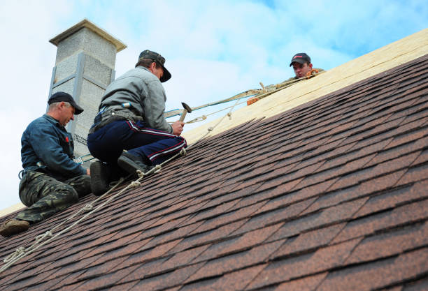 Best Roof Restoration Services  in Chauvin, LA